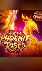 Phoenix Rises